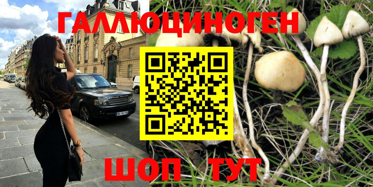 Галлюциногенные грибы мухоморы Будённовск