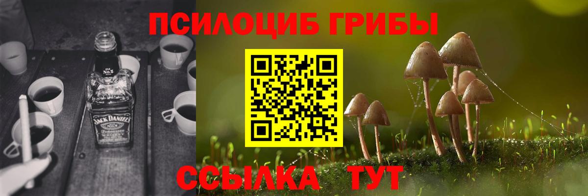 Псилоцибиновые грибы Psilocybine cubensis  Вход с VPN  Псилоцибиновые грибы мухоморы  Будённовск 